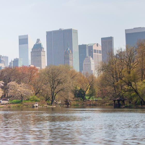 Central Park and Midtown Manhattan luxury skyline